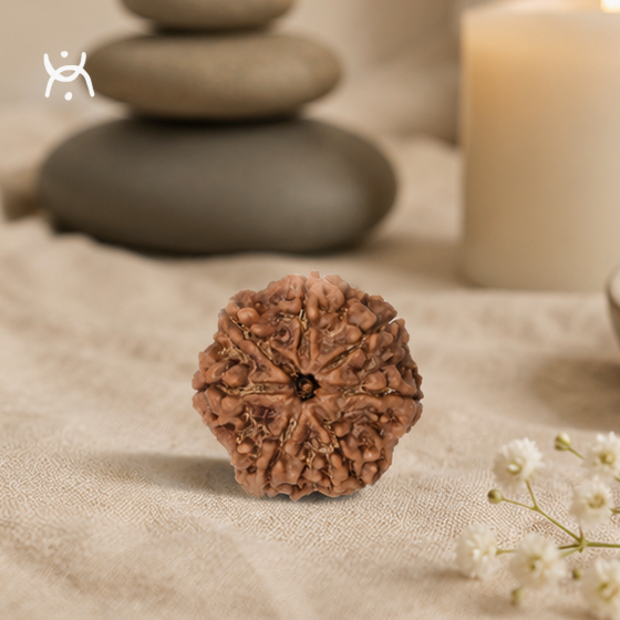 Provides Protective Energy