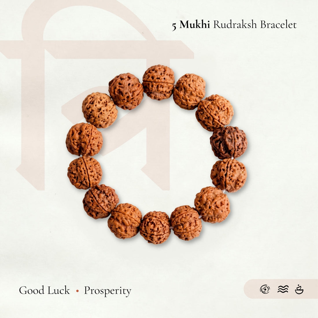 5 mukhi rudraksha bracelet
