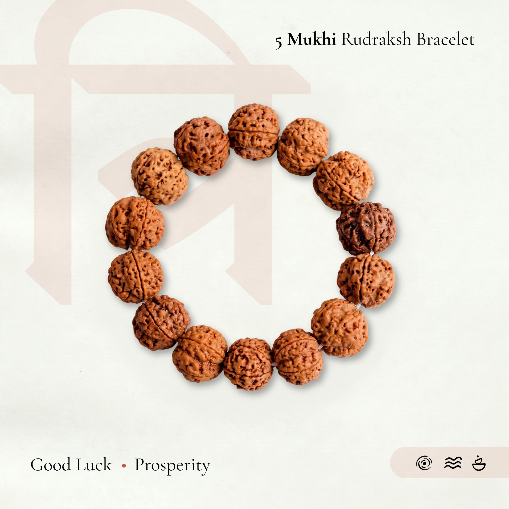 5 mukhi rudraksha bracelet