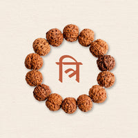 Rudraksha