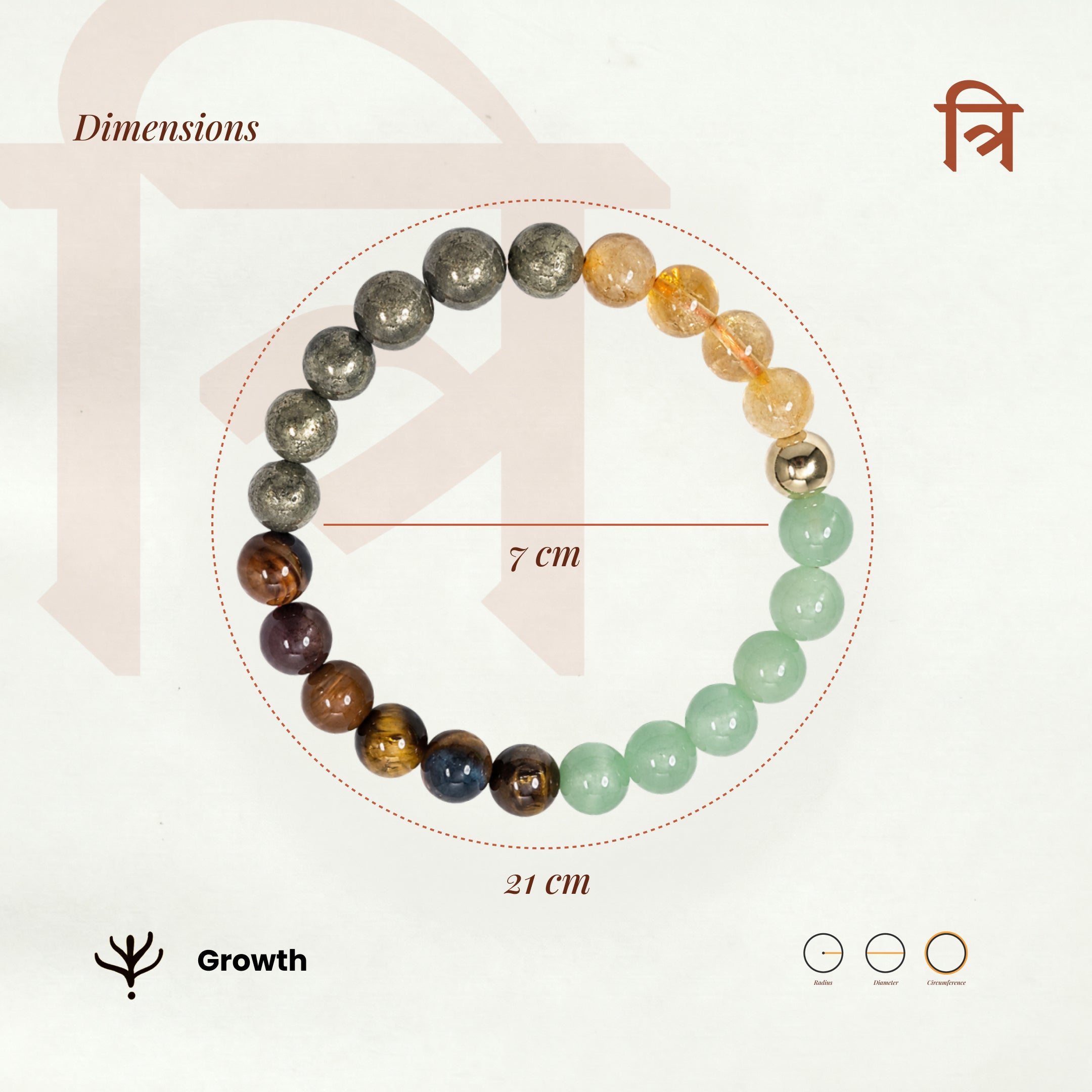 Money Magnet Bracelet