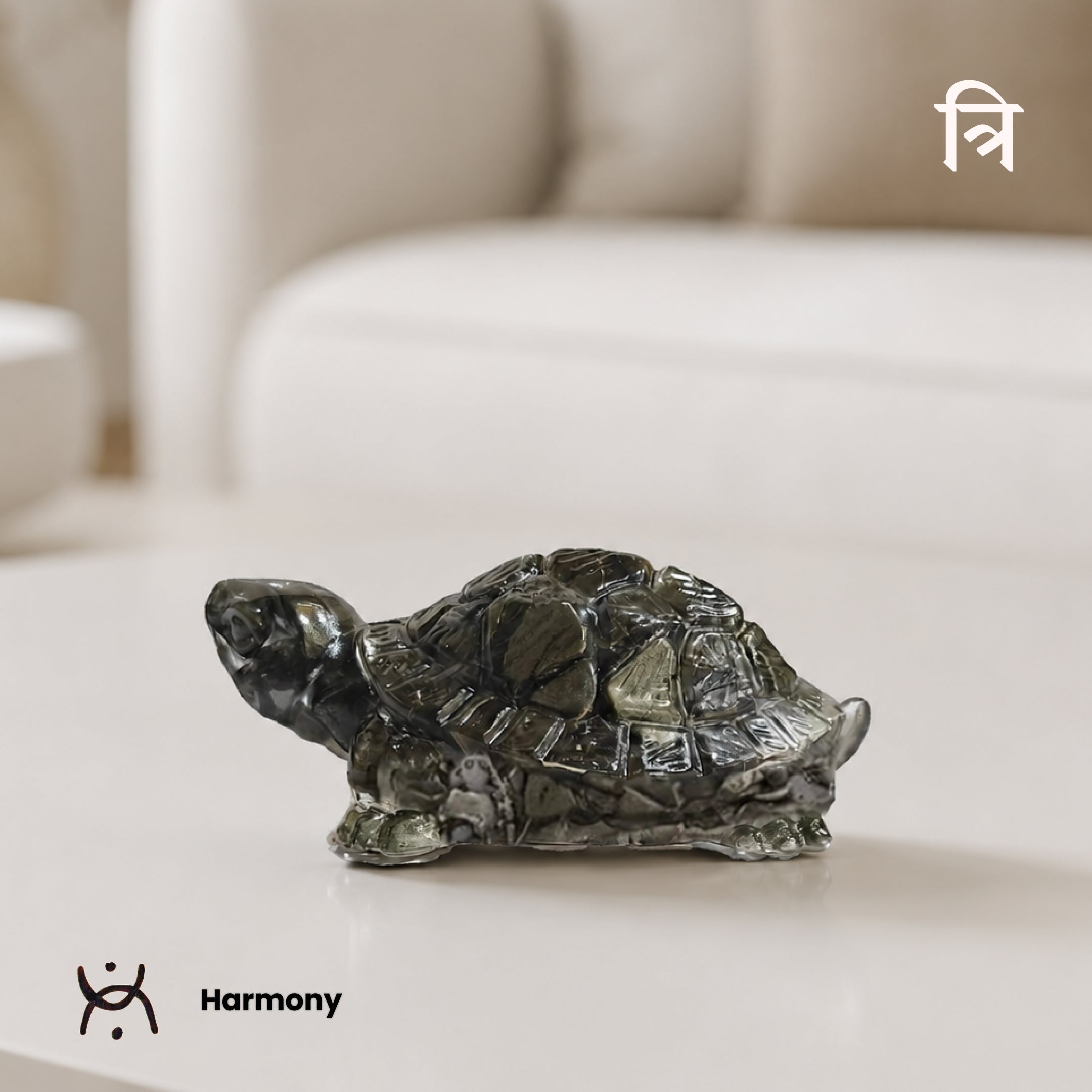Vastu Pyrite Tortoise (Kachhua)