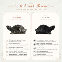 Vastu Pyrite Tortoise (Kachhua)