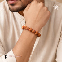 5 Mukhi Rudraksha (Nepali) Bracelet